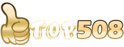 TOP508